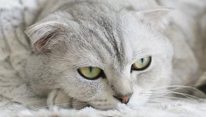 快船计划组织封闭战术演练提升配合度，快船模式