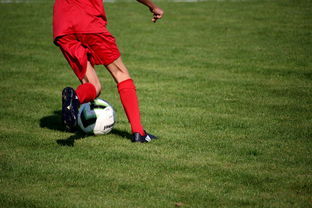 中国足球教练团队长远选才规划与青训体系结合，中国足球基层教练